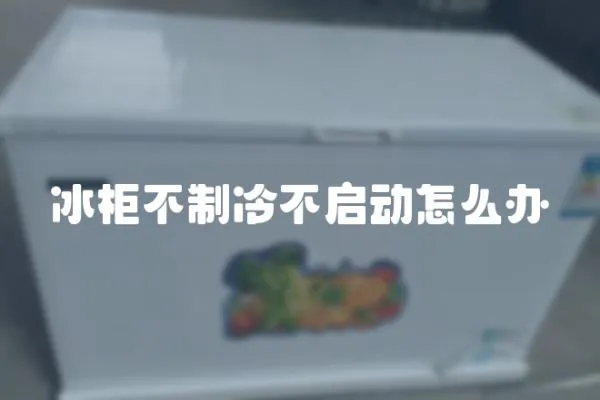 冰柜不制冷不啟動怎么辦