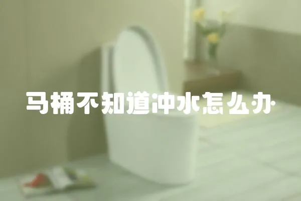 馬桶不知道沖水怎么辦