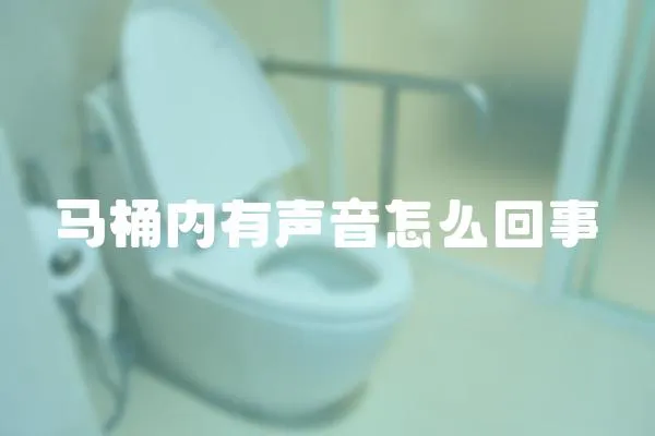 馬桶內(nèi)有聲音怎么回事