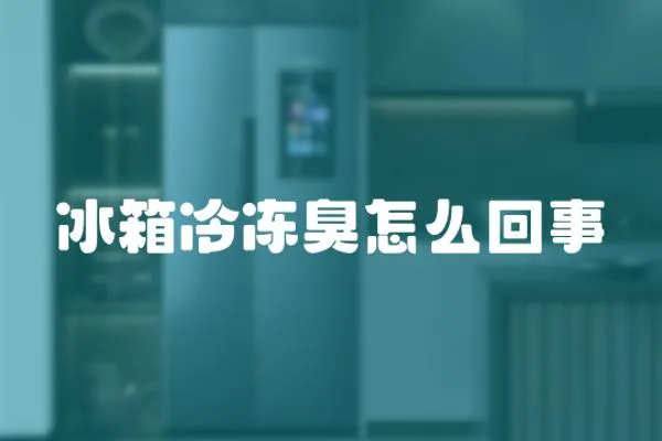 冰箱冷凍臭怎么回事