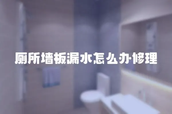 廁所墻板漏水怎么辦修理