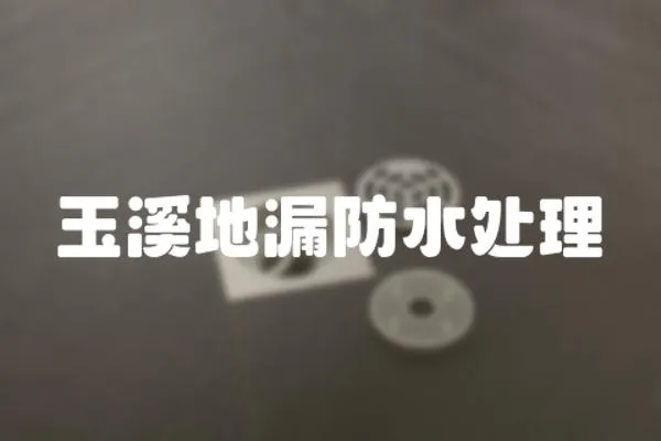 玉溪地漏防水處理