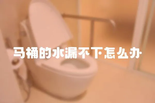 馬桶的水漏不下怎么辦
