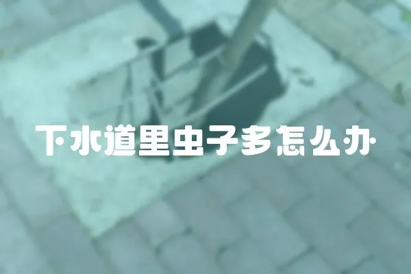 下水道里蟲子多怎么辦