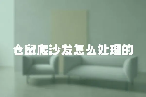 倉鼠爬沙發(fā)怎么處理的