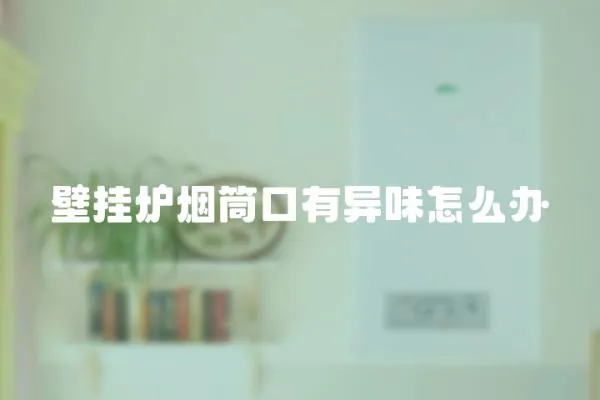 壁掛爐煙筒口有異味怎么辦