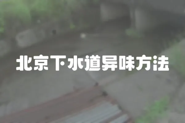北京下水道異味方法
