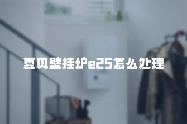 夏貝壁掛爐e25怎么處理