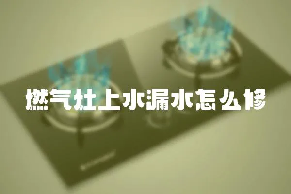 燃?xì)庠钌纤┧趺葱? loading=