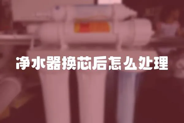凈水器換芯后怎么處理