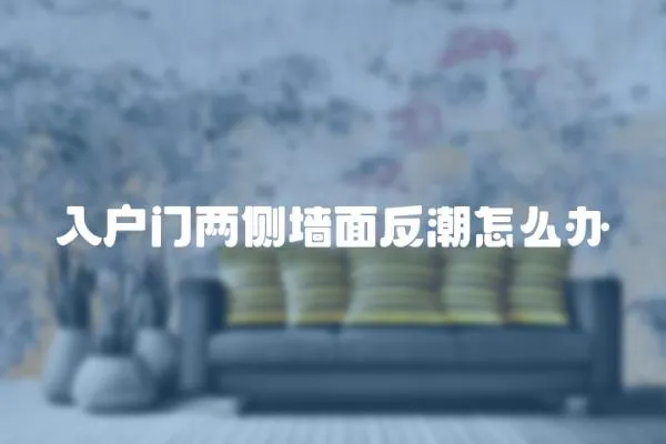 入戶門兩側墻面反潮怎么辦
