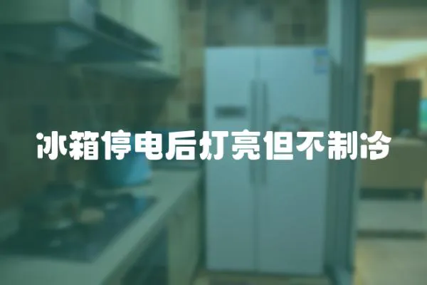冰箱停電后燈亮但不制冷