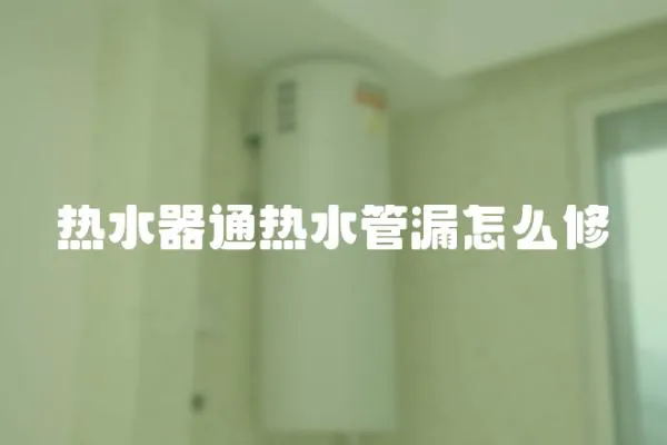 熱水器通熱水管漏怎么修