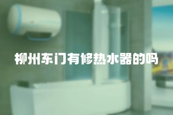 柳州東門有修熱水器的嗎