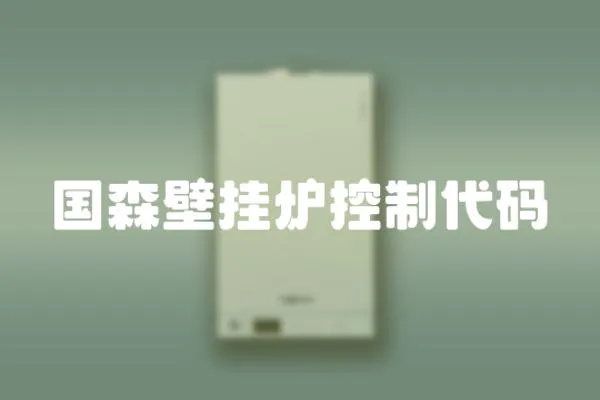 國森壁掛爐控制代碼