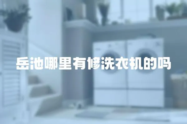 岳池哪里有修洗衣機的嗎