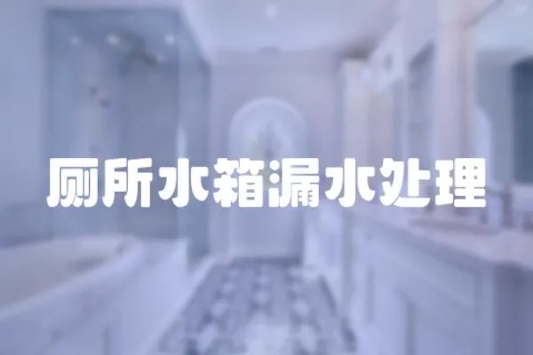 廁所水箱漏水處理