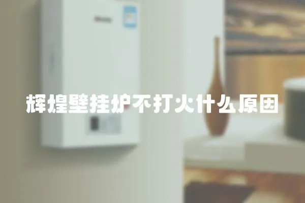 輝煌壁掛爐不打火什么原因