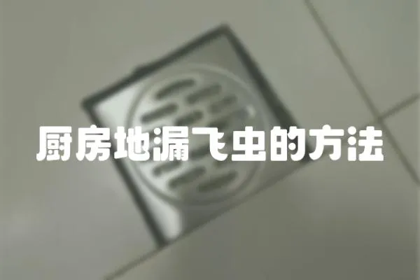 廚房地漏飛蟲的方法