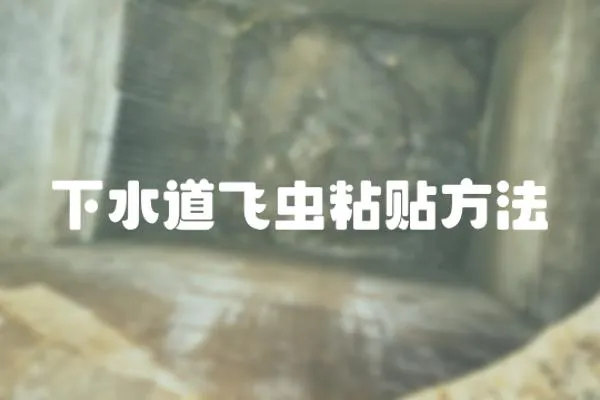 下水道飛蟲粘貼方法