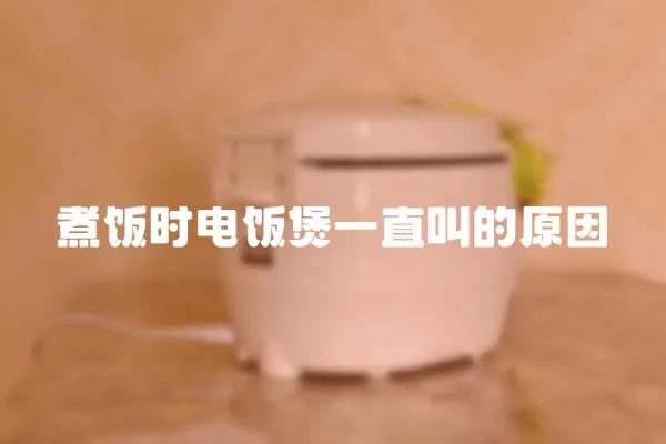 煮飯時電飯煲一直叫的原因