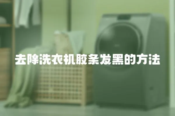 去除洗衣機膠條發黑的方法