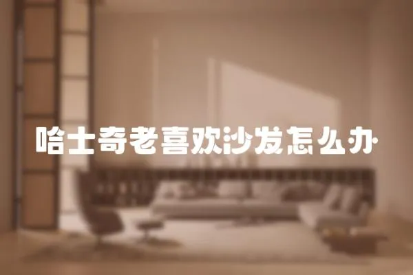 哈士奇老喜歡沙發怎么辦