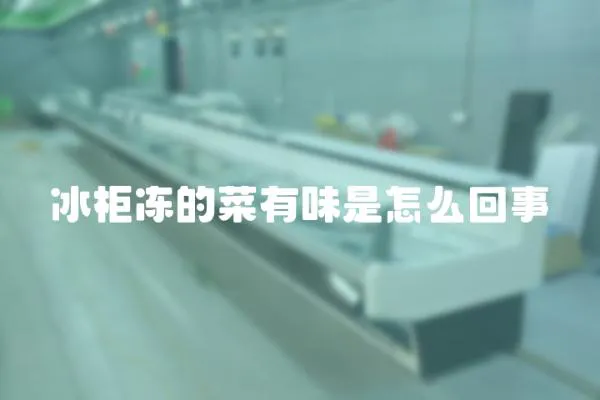 冰柜凍的菜有味是怎么回事