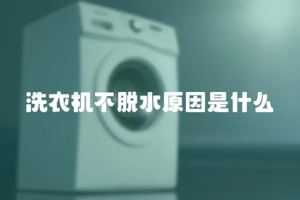 洗衣機不脫水原因是什么