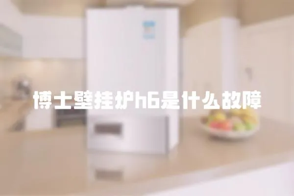 博士壁掛爐h6是什么故障