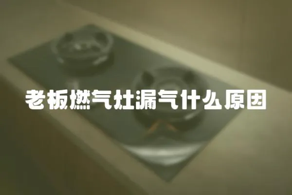 老板燃氣灶漏氣什么原因