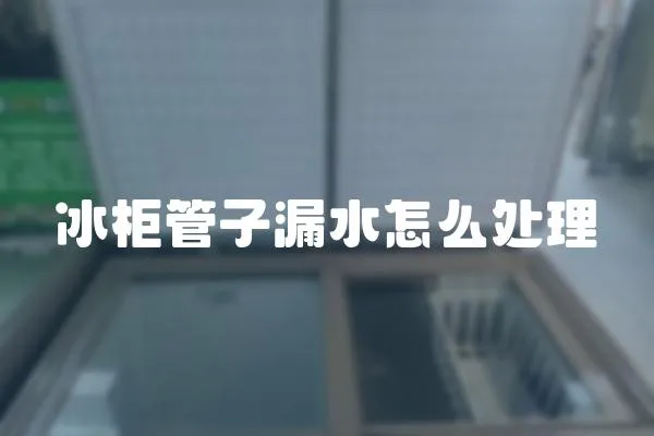 冰柜管子漏水怎么處理