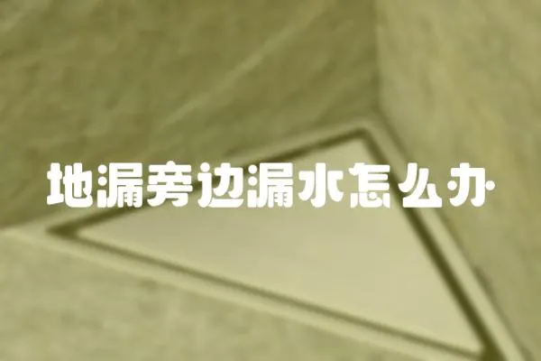 地漏旁邊漏水怎么辦