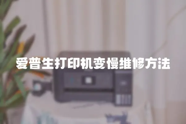 愛普生打印機變慢維修方法