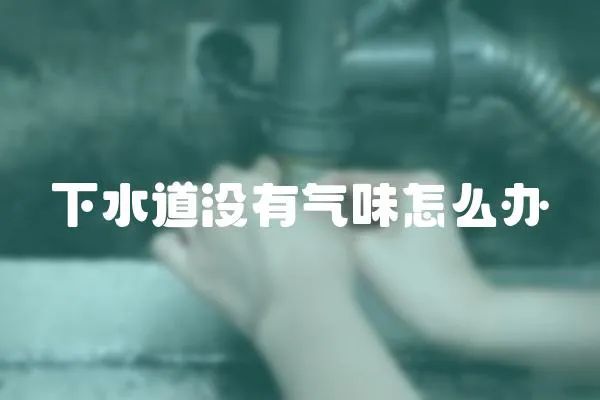下水道沒有氣味怎么辦