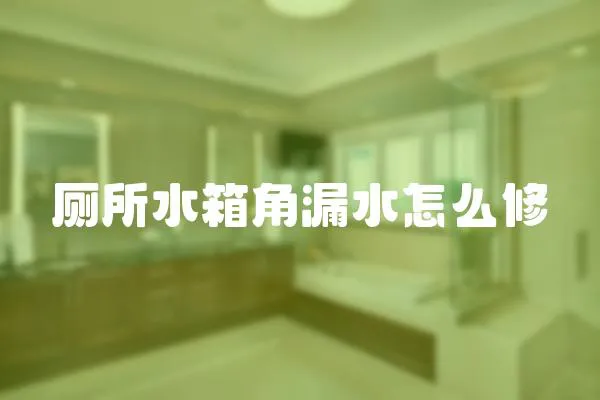 廁所水箱角漏水怎么修