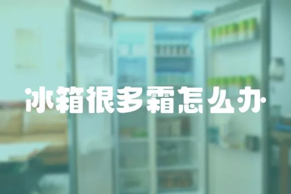 冰箱很多霜怎么辦
