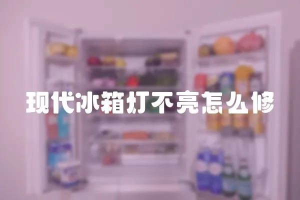 現代冰箱燈不亮怎么修