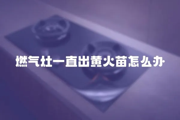 燃?xì)庠钜恢背鳇S火苗怎么辦