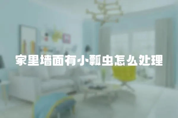 家里墻面有小瓢蟲怎么處理