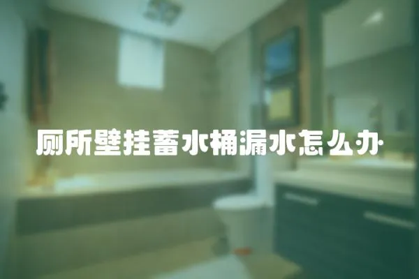 廁所壁掛蓄水桶漏水怎么辦