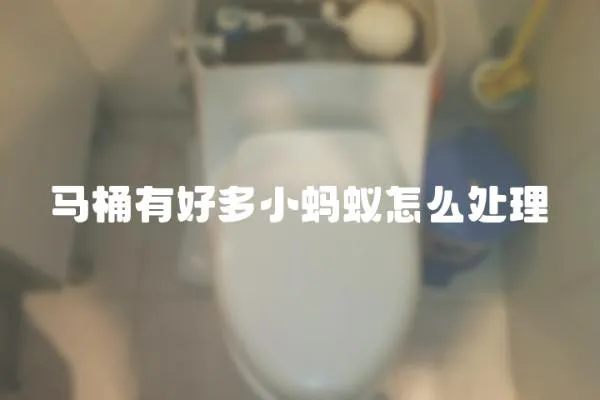 馬桶有好多小螞蟻怎么處理