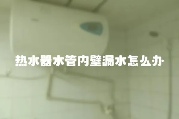 熱水器水管內壁漏水怎么辦