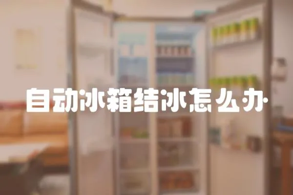 自動冰箱結冰怎么辦
