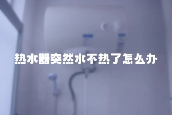 熱水器突然水不熱了怎么辦