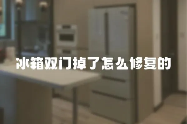 冰箱雙門掉了怎么修復的