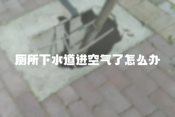 廁所下水道進空氣了怎么辦