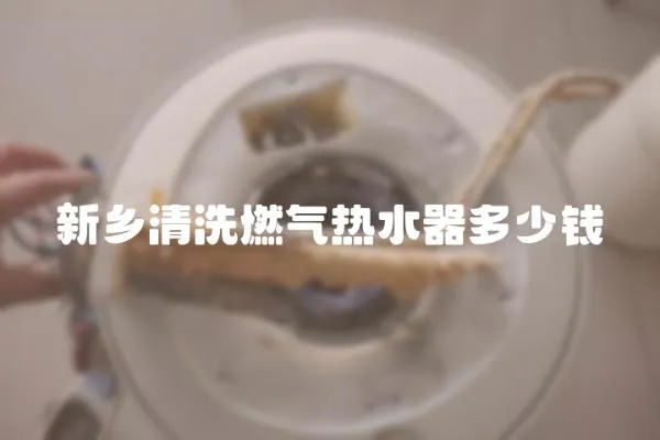 新鄉(xiāng)清洗燃氣熱水器多少錢