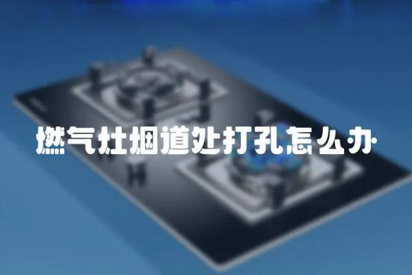 燃?xì)庠顭煹捞幋蚩自趺崔k