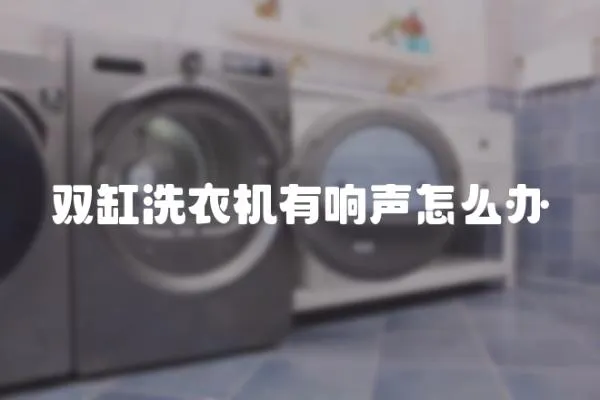 双缸洗衣机有响声怎么办